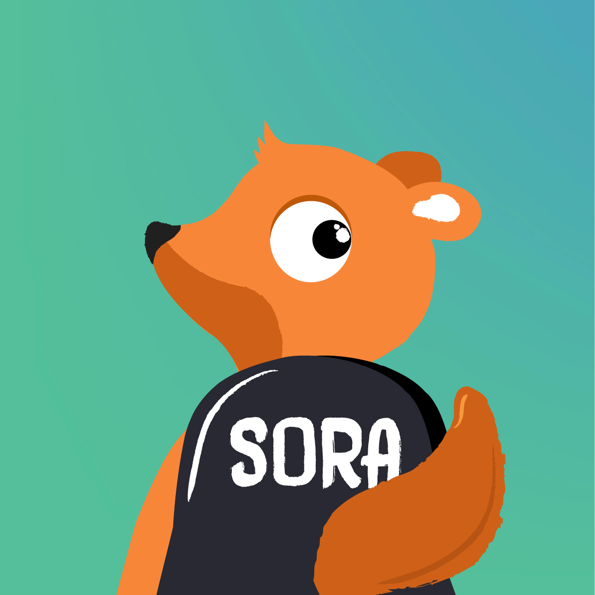Sora-avatar-1